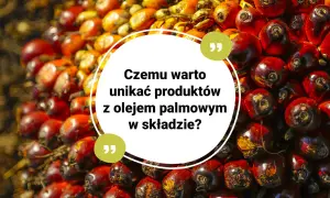 Kwestia, czy olej palmowy jest wegański, budzi kontrowersje. Zbiór owoców palmy olejowej na tle.