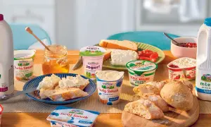 Piatnica roślinna gdzie kupić? Pyszne produkty nabiałowe i pieczywo na stole.