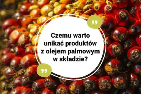 Kwestia, czy olej palmowy jest wegański, budzi kontrowersje. Zbiór owoców palmy olejowej na tle.