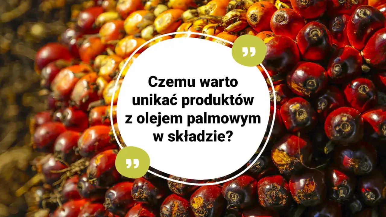Kwestia, czy olej palmowy jest wegański, budzi kontrowersje. Zbiór owoców palmy olejowej na tle.